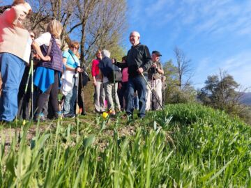 Leggi: «In cento sul “Cammino dei tulipani”…»