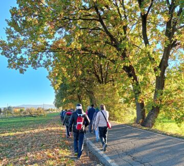 Leggi: «Giovedì 30 novembre ultima passeggiata autunnale…»