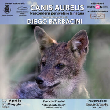 Leggi: «Sabato 27 aprile “Canis Aureus” la…»