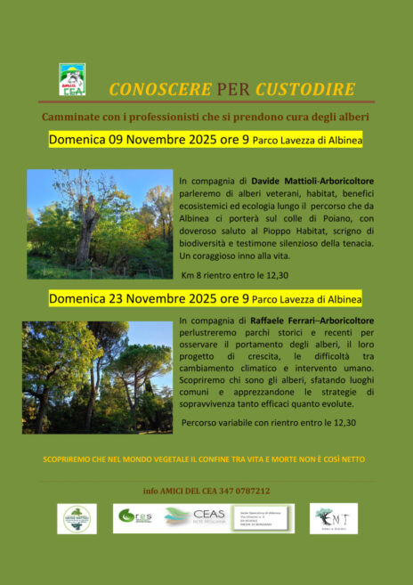 Leggi: «Il 9 e il 23 novembre…»