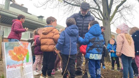 Leggi: «Questa mattina “Tulipani di Matteo” sono…»