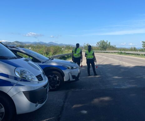 Leggi: &laquo;Il bilancio di un anno di&hellip;&raquo;