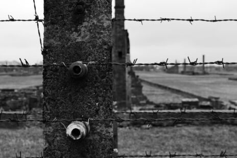 Leggi: «In 60 al Viaggio della Memoria…»