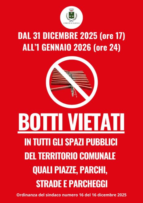 Leggi: &laquo;Botti vietati a Capodanno&raquo;