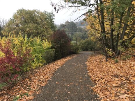 Leggi: &laquo;Dall’1 al 30 aprile sentieri off-limits&hellip;&raquo;