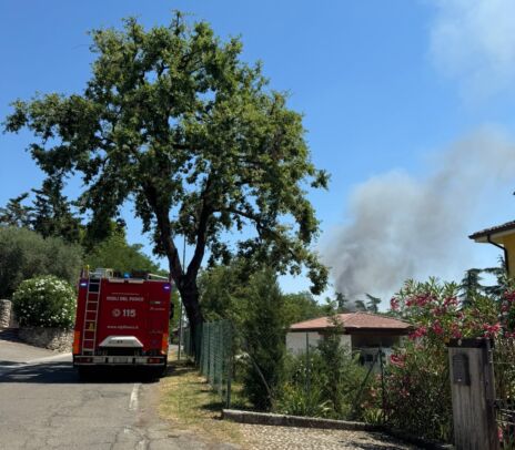 Leggi: «Incendi boschivi: attivazione della fase di…»