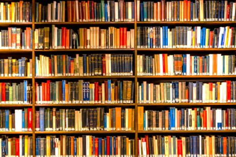 Leggi: &laquo;Il sistema bibliotecario reggiano cresce e&hellip;&raquo;